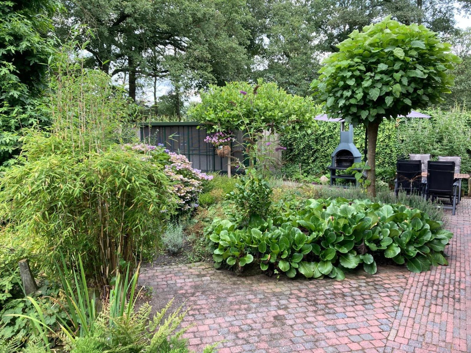 B&B Erve Moeskert Geesteren  Exterior foto
